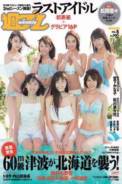 脱色摇床实验室振荡器BL